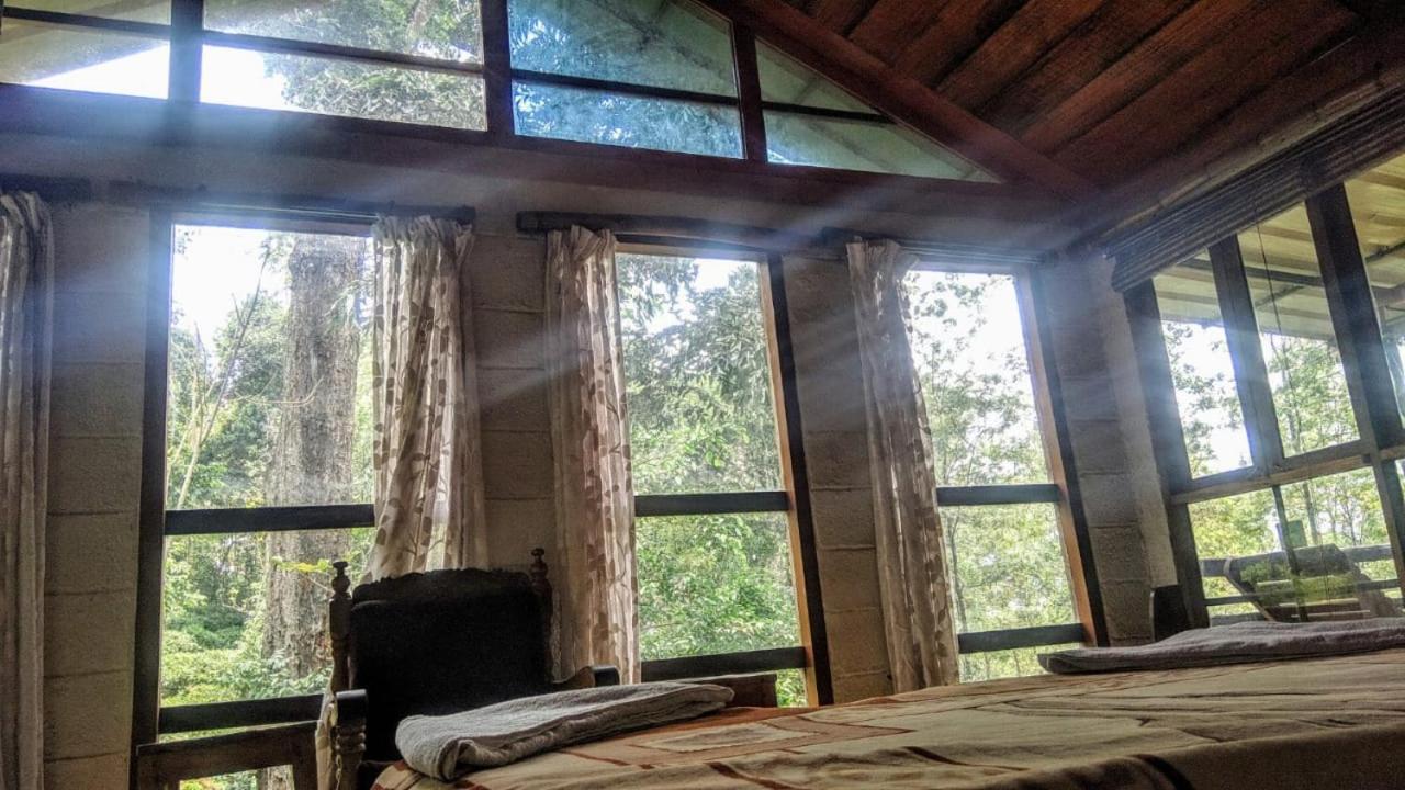 Jungle Jive Treehouse And Farm House Munnar Kültér fotó