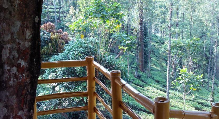 Jungle Jive Treehouse And Farm House Munnar Kültér fotó
