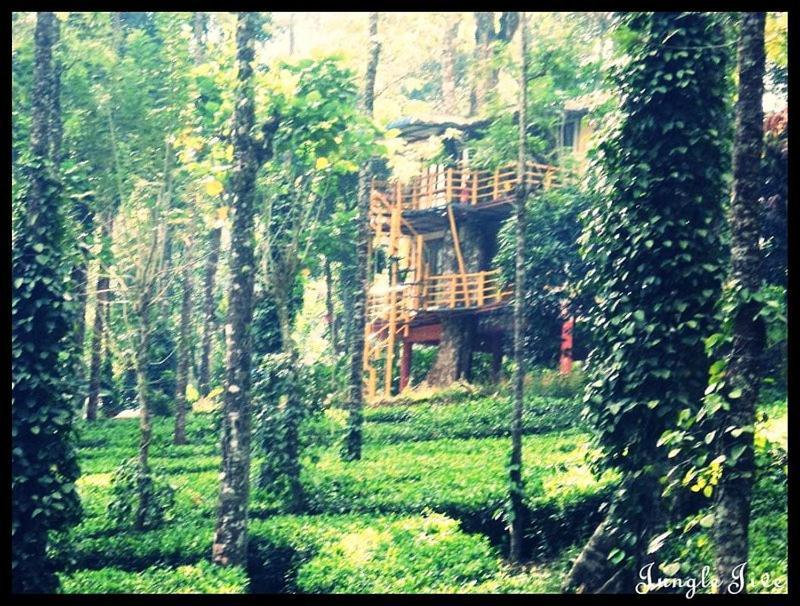 Jungle Jive Treehouse And Farm House Munnar Kültér fotó