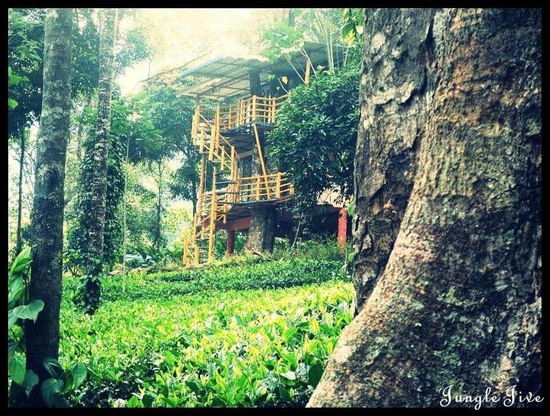 Jungle Jive Treehouse And Farm House Munnar Kültér fotó