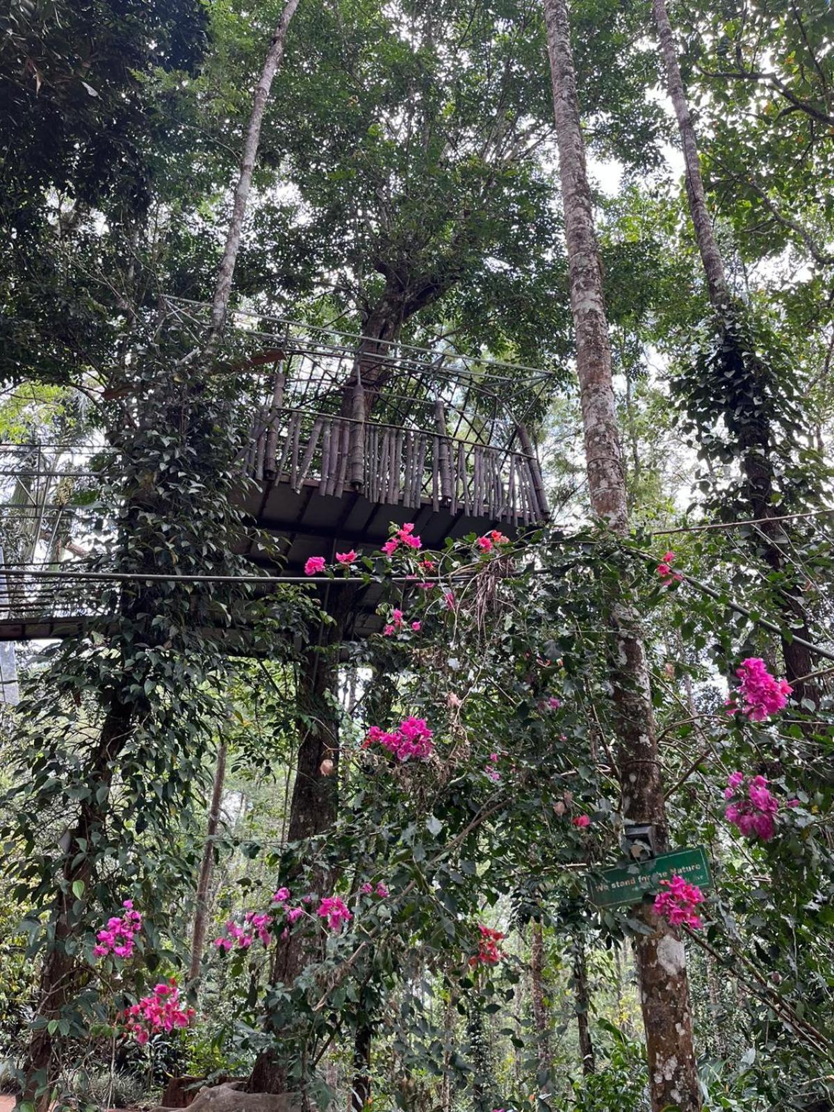 Jungle Jive Treehouse And Farm House Munnar Kültér fotó