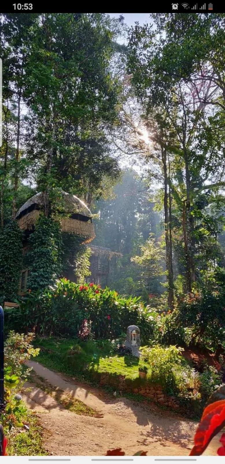 Jungle Jive Treehouse And Farm House Munnar Kültér fotó