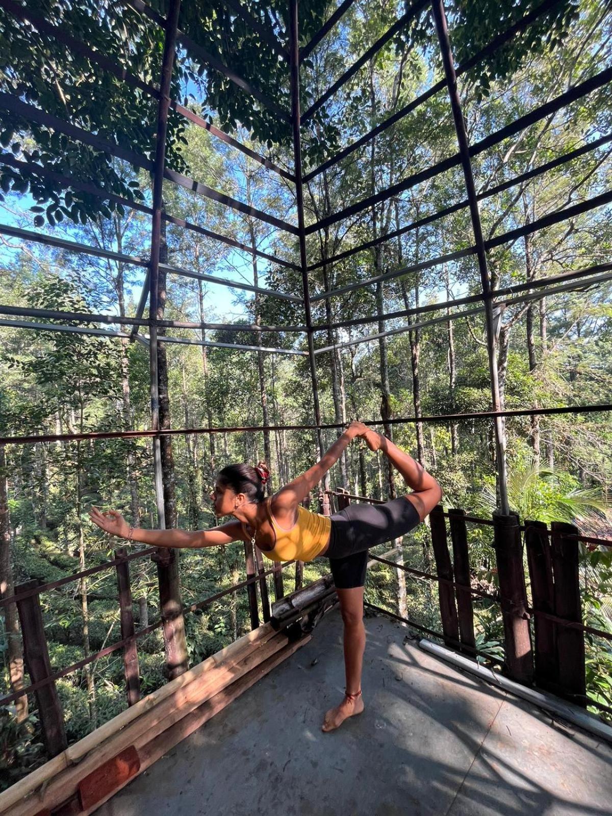 Jungle Jive Treehouse And Farm House Munnar Kültér fotó