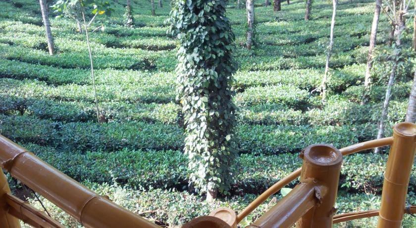 Jungle Jive Treehouse And Farm House Munnar Kültér fotó
